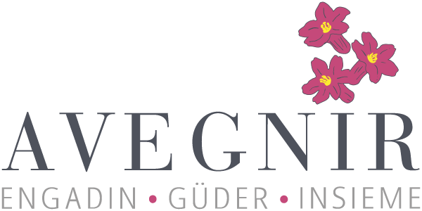www.avegnir.ch
